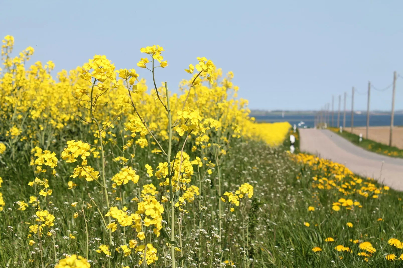 Landhausetage mit Garten-Sfeer