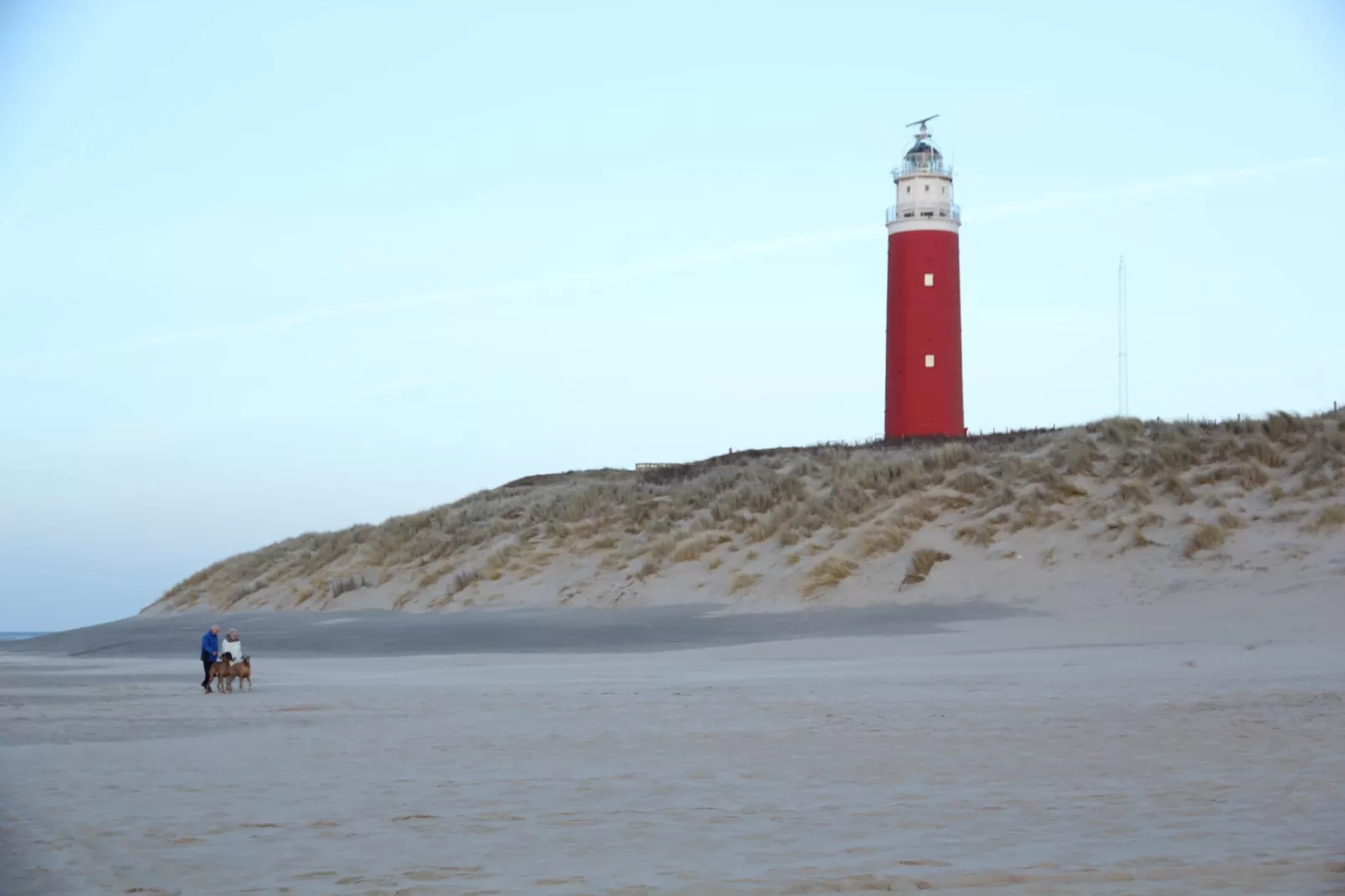 Stoeterij C65-Gebieden zomer 5km