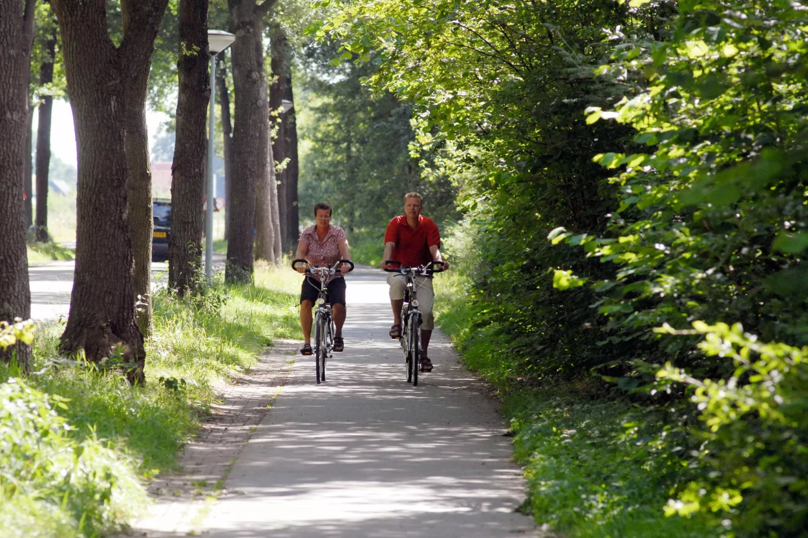 Het Drentse Wold 6-Gebieden zomer 20km