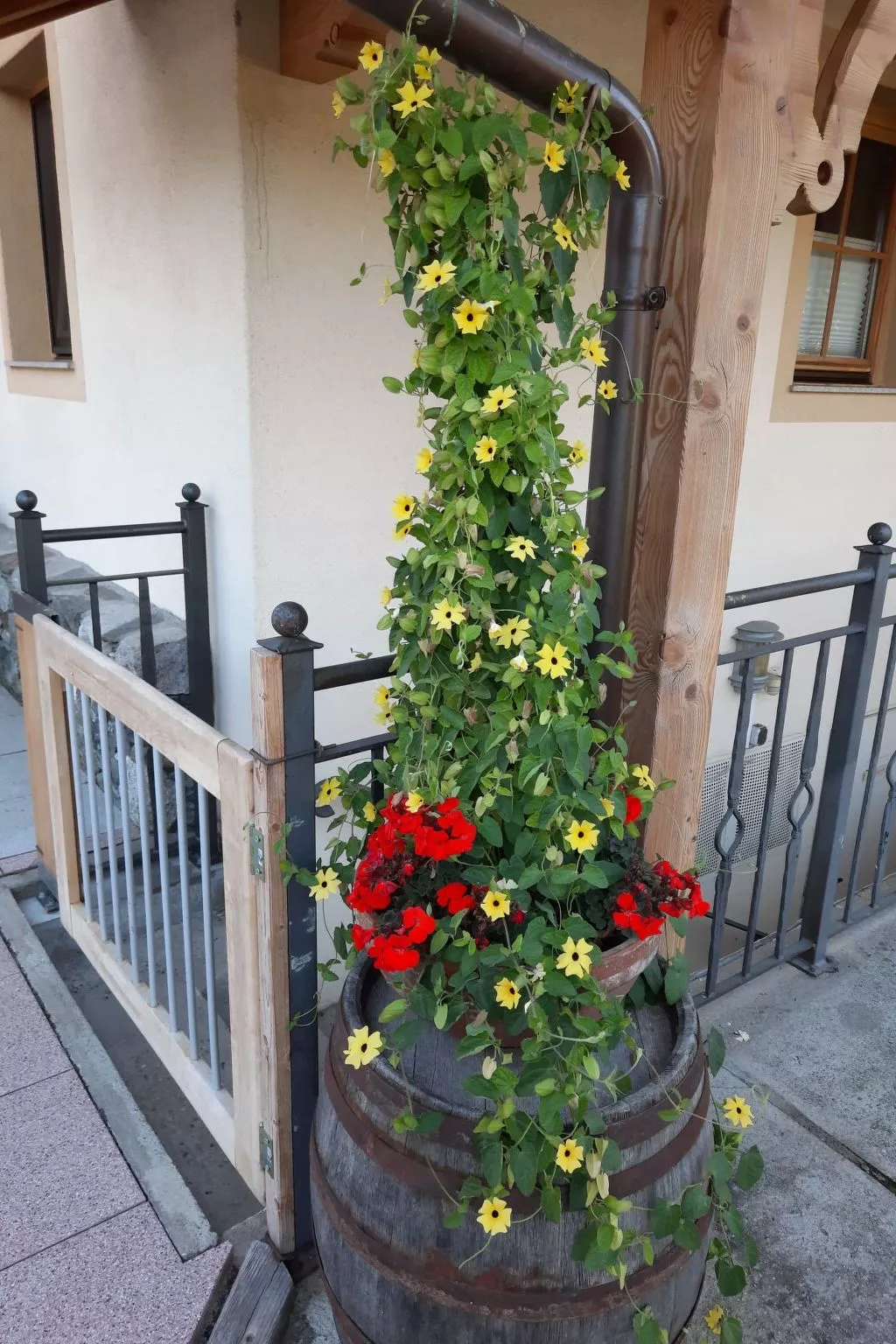 Althaus 1-Buiten