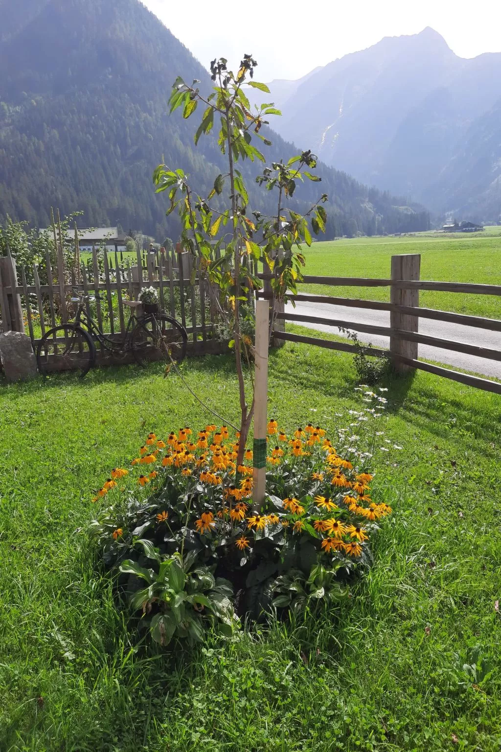 Althaus 1-Buiten