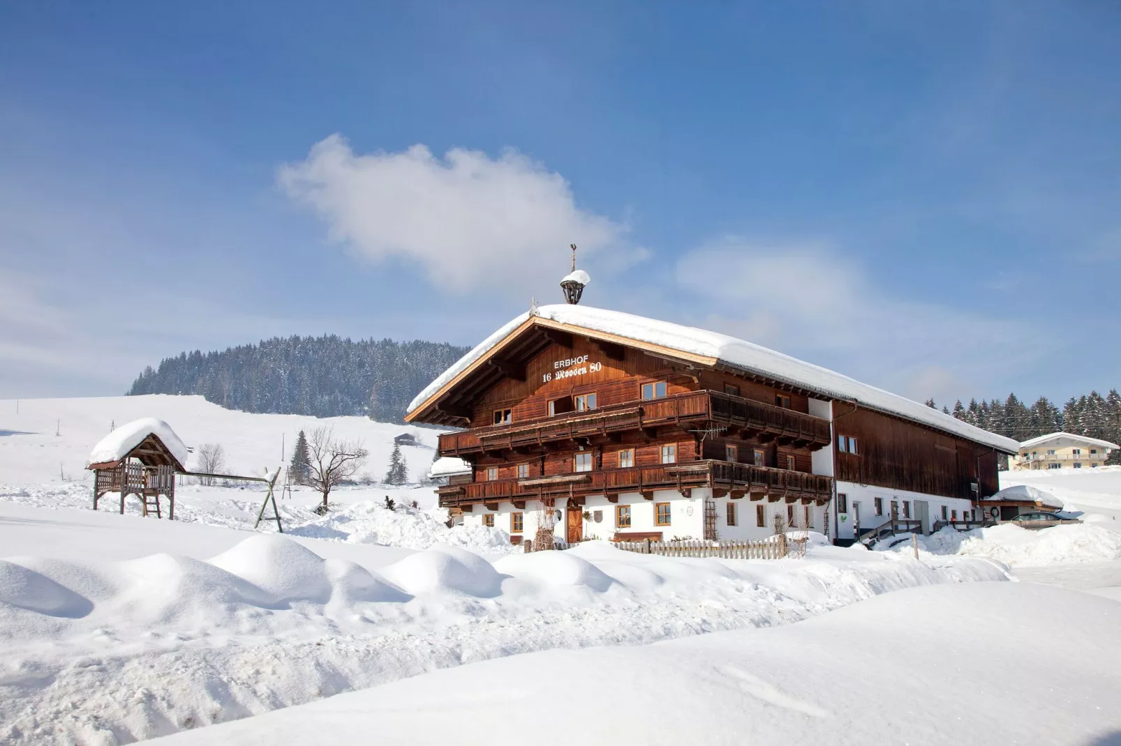 Alpenrose-Exterieur winter