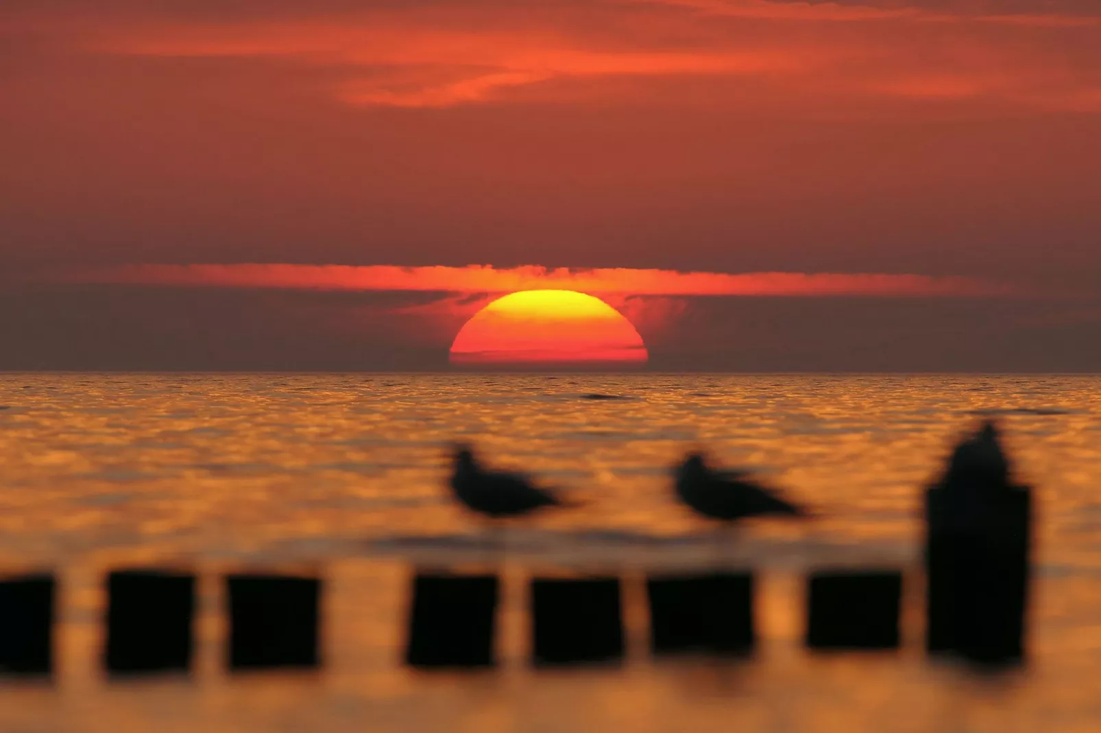 Die Morgensonne 4-Sfeer