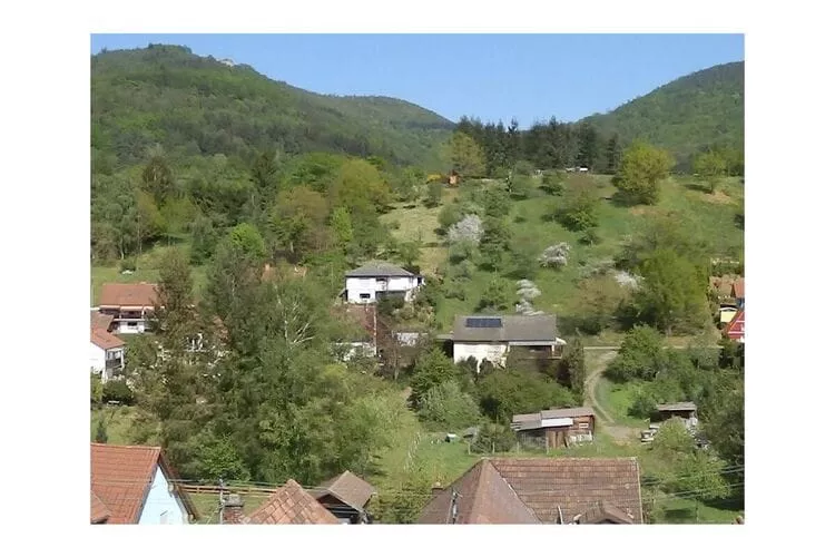298871-Terras
