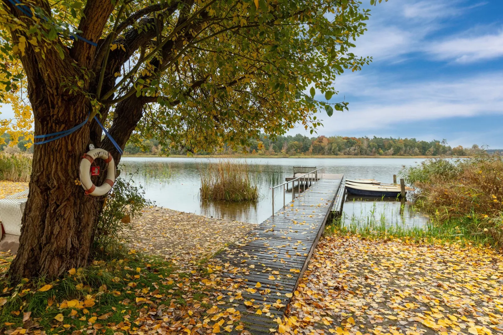 Ferienhaus am See - hundefreundlich-Gebieden zomer 1km