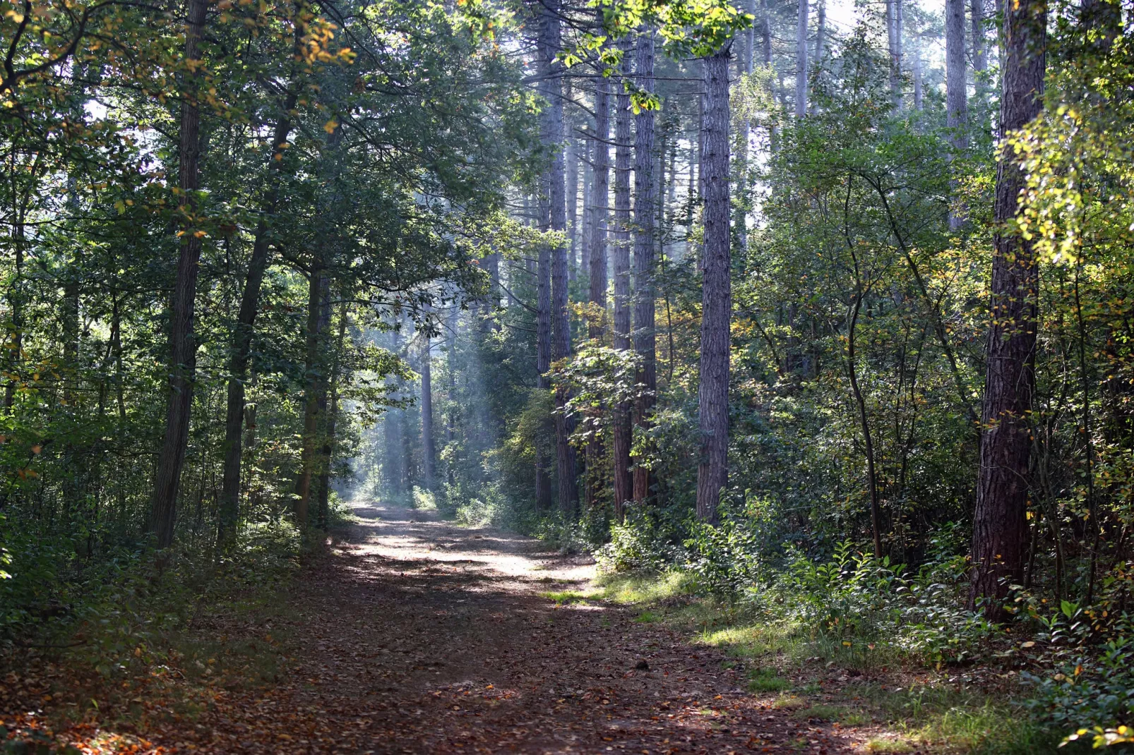 Villa  Hoogelandt 10-Gebieden zomer 5km