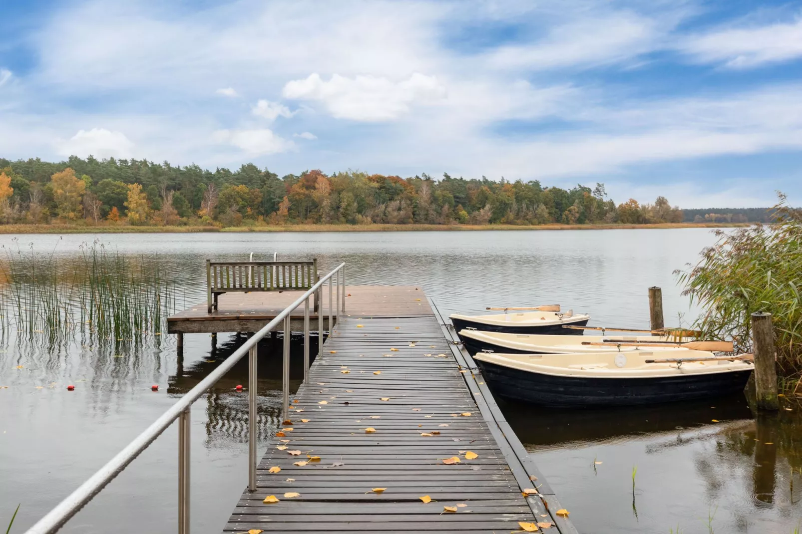 Ferienhaus am See - hundefreundlich-Gebieden zomer 1km