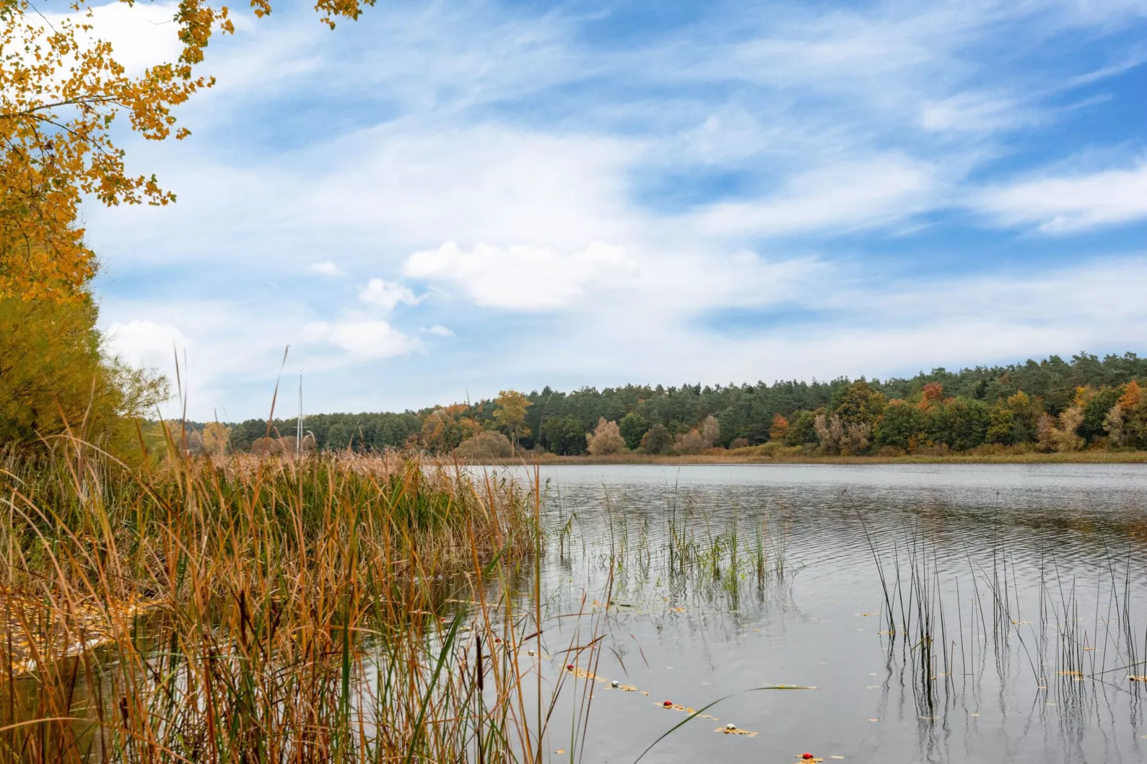 Ferienhaus am See - hundefreundlich-Gebieden zomer 1km