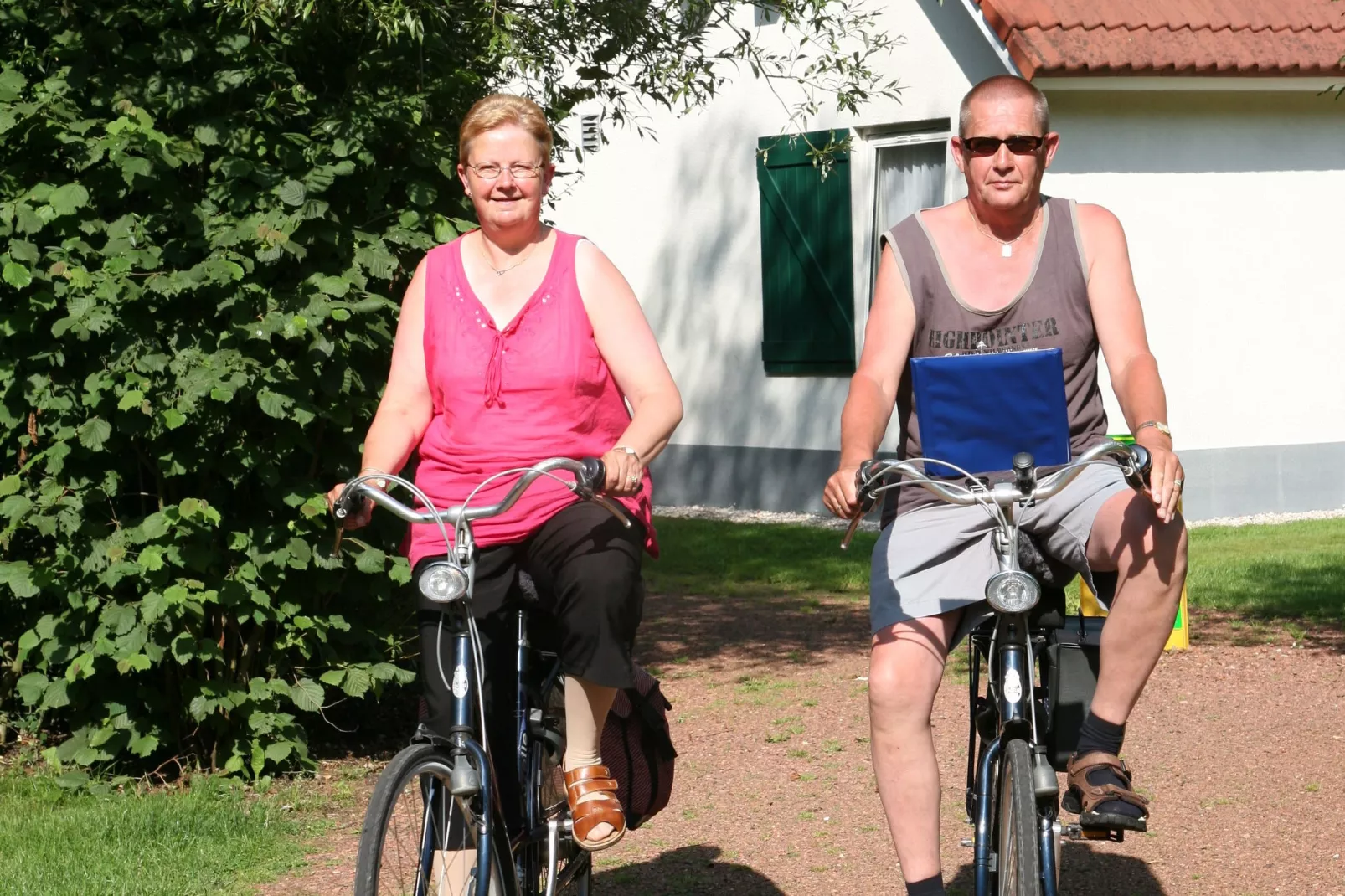 Het Drentse Wold 5-Gebieden zomer 1km