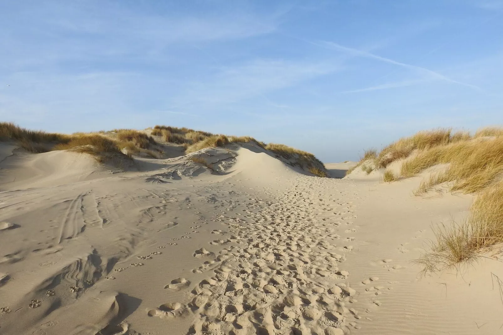 Vakantiepark 't Eibernest Texel 1