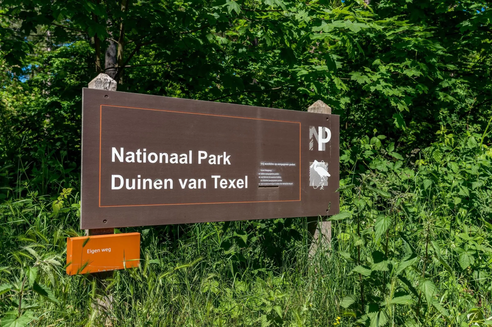 Blauwe Kiekendief-Gebieden zomer 20km