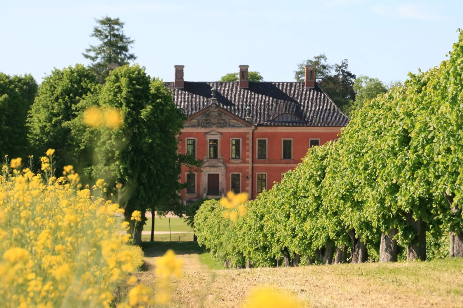 Stadthaus Klütz 1-Gebieden zomer 1km