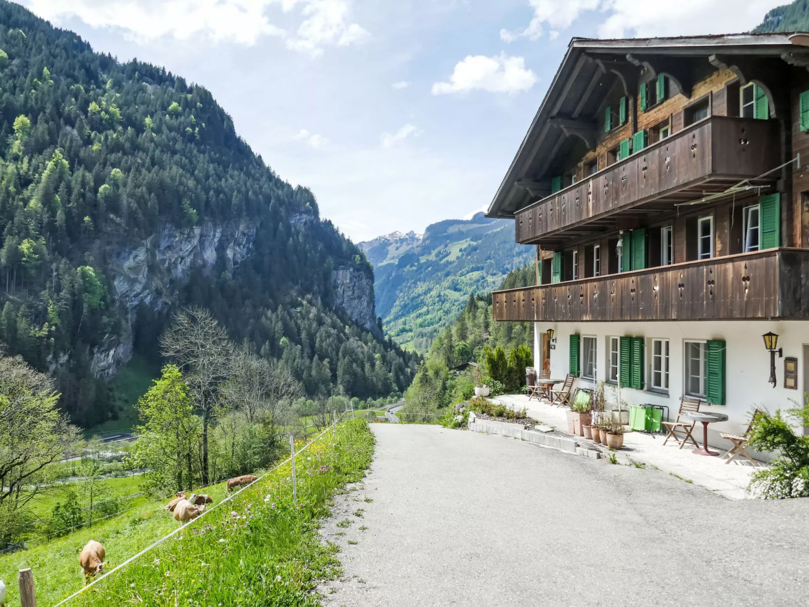 Chalet Auf dem Vogelstein
