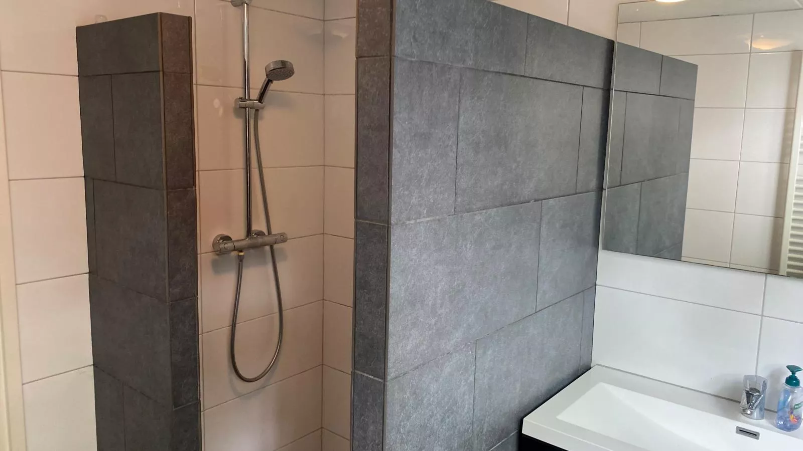 Boszicht Reutum-Badkamer
