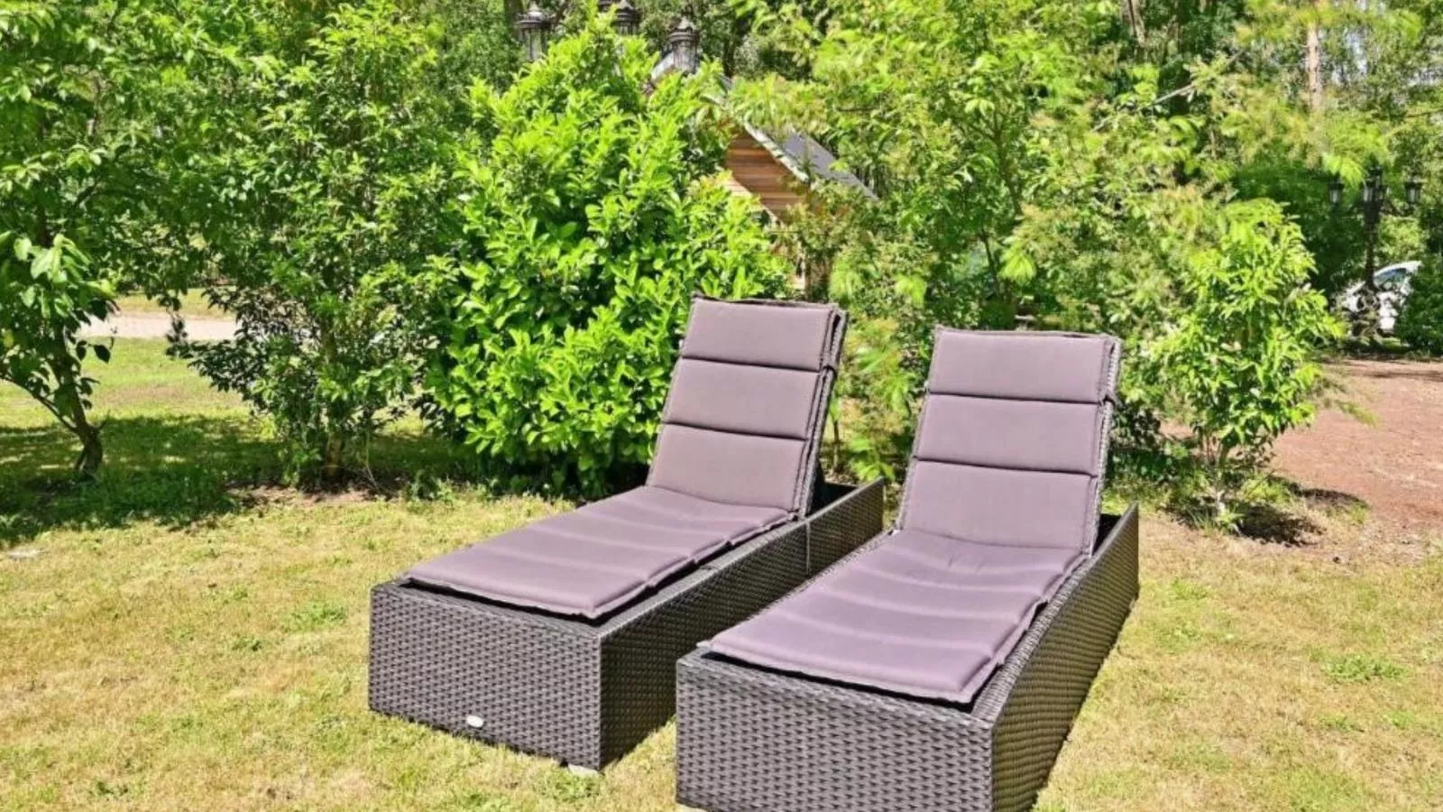 Boszicht Reutum-Tuinen zomer
