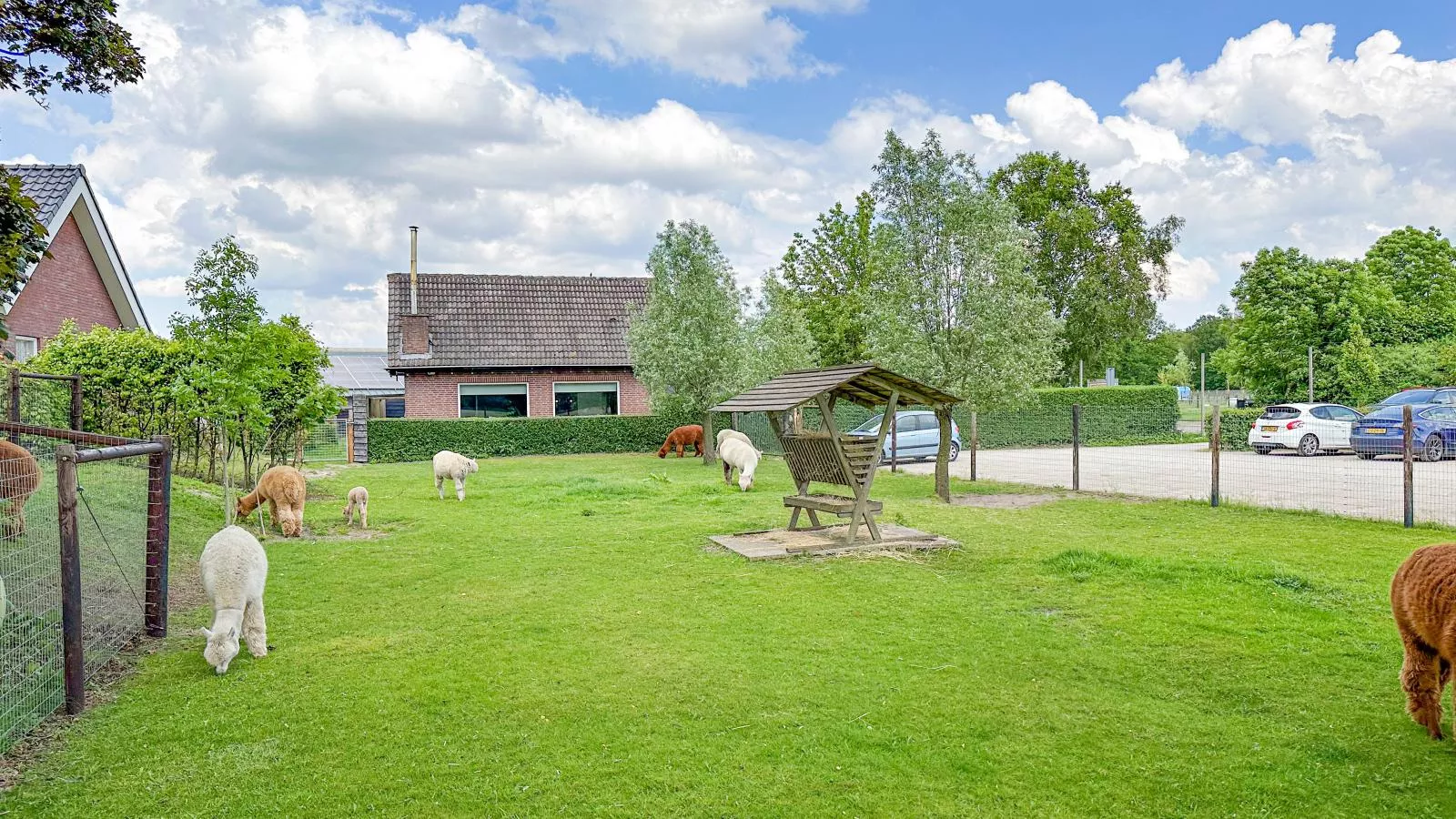 Alpacafarm Vorstenbosch-Buitenkant zomer