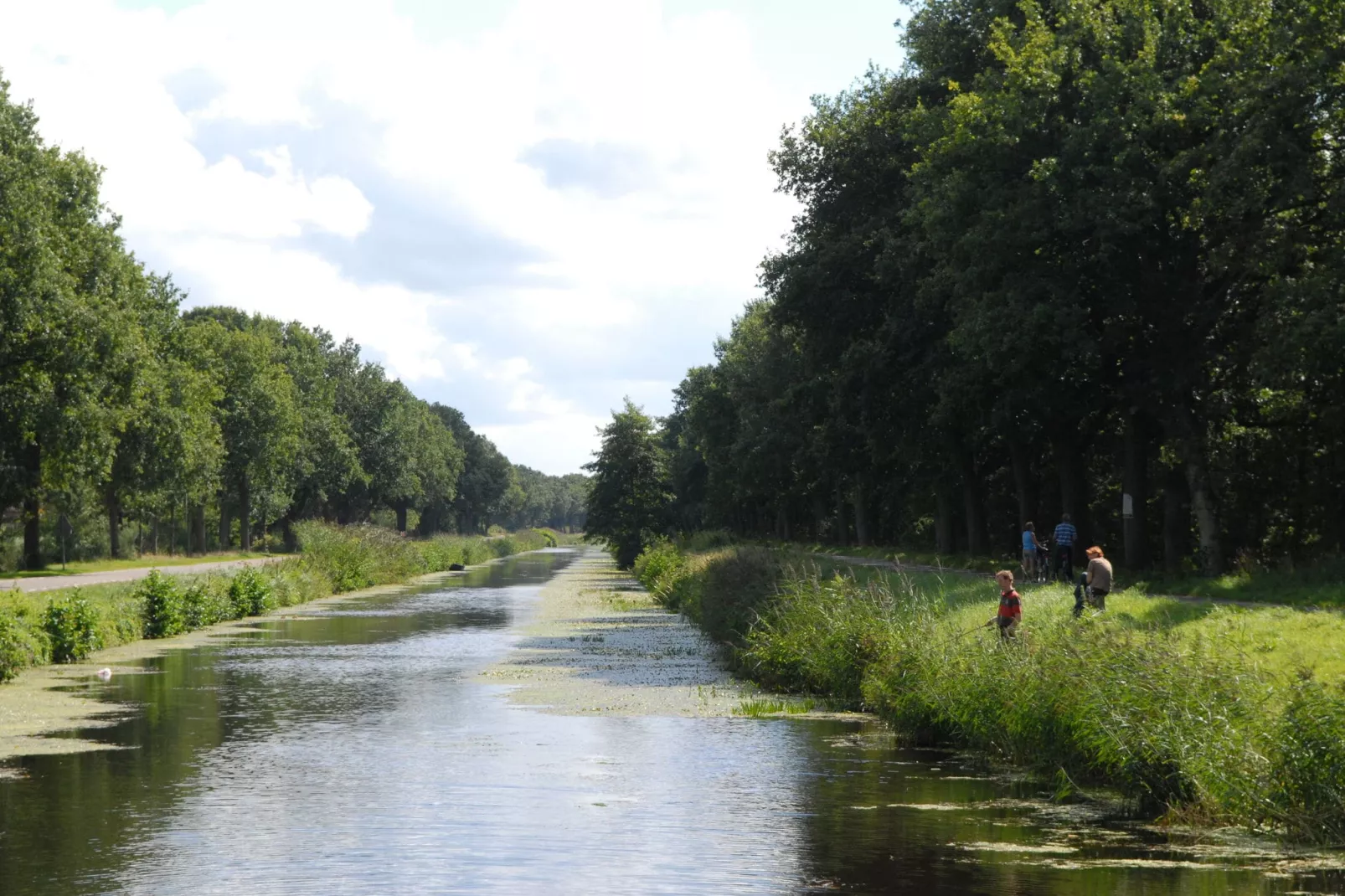 Het Hart van Drenthe 4-Gebieden zomer 5km