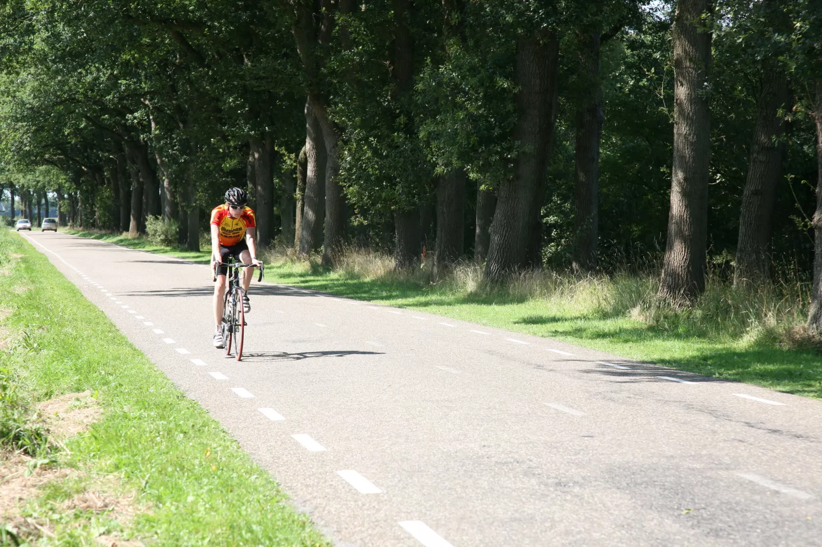 Het Hart van Drenthe 4-Gebieden zomer 5km