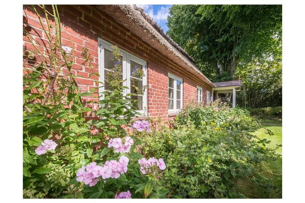 352989-Buitenkant zomer