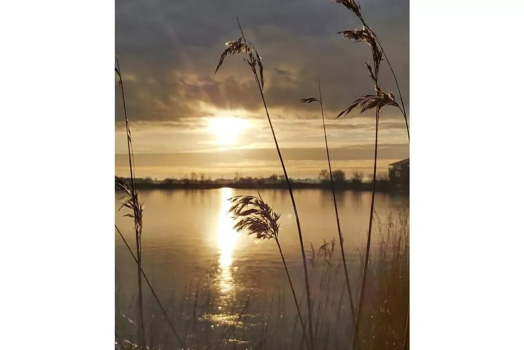 490310-Niet-getagd
