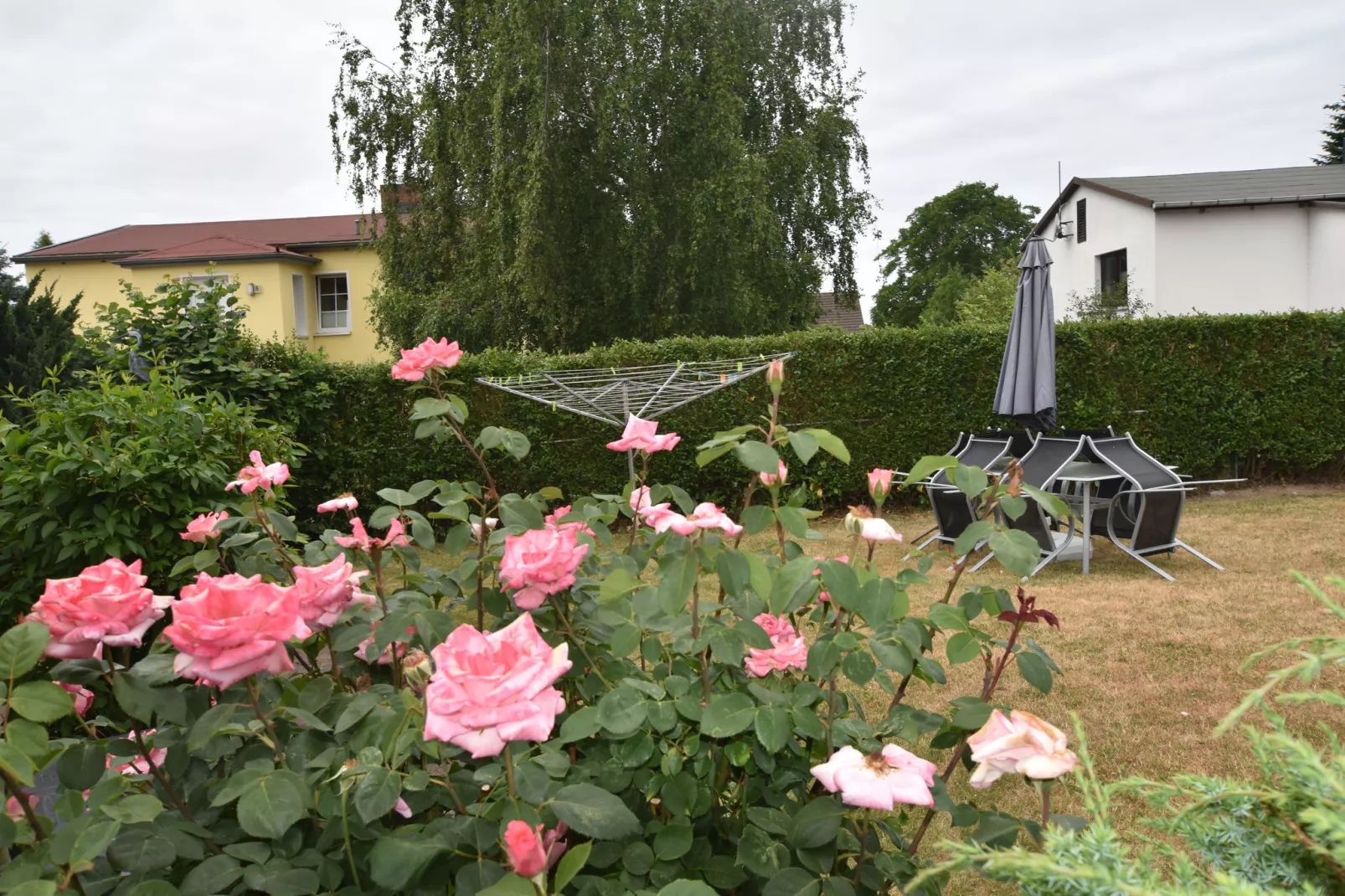 Stijlvol ingericht appartement in Rerik met een terras-Tuinen zomer