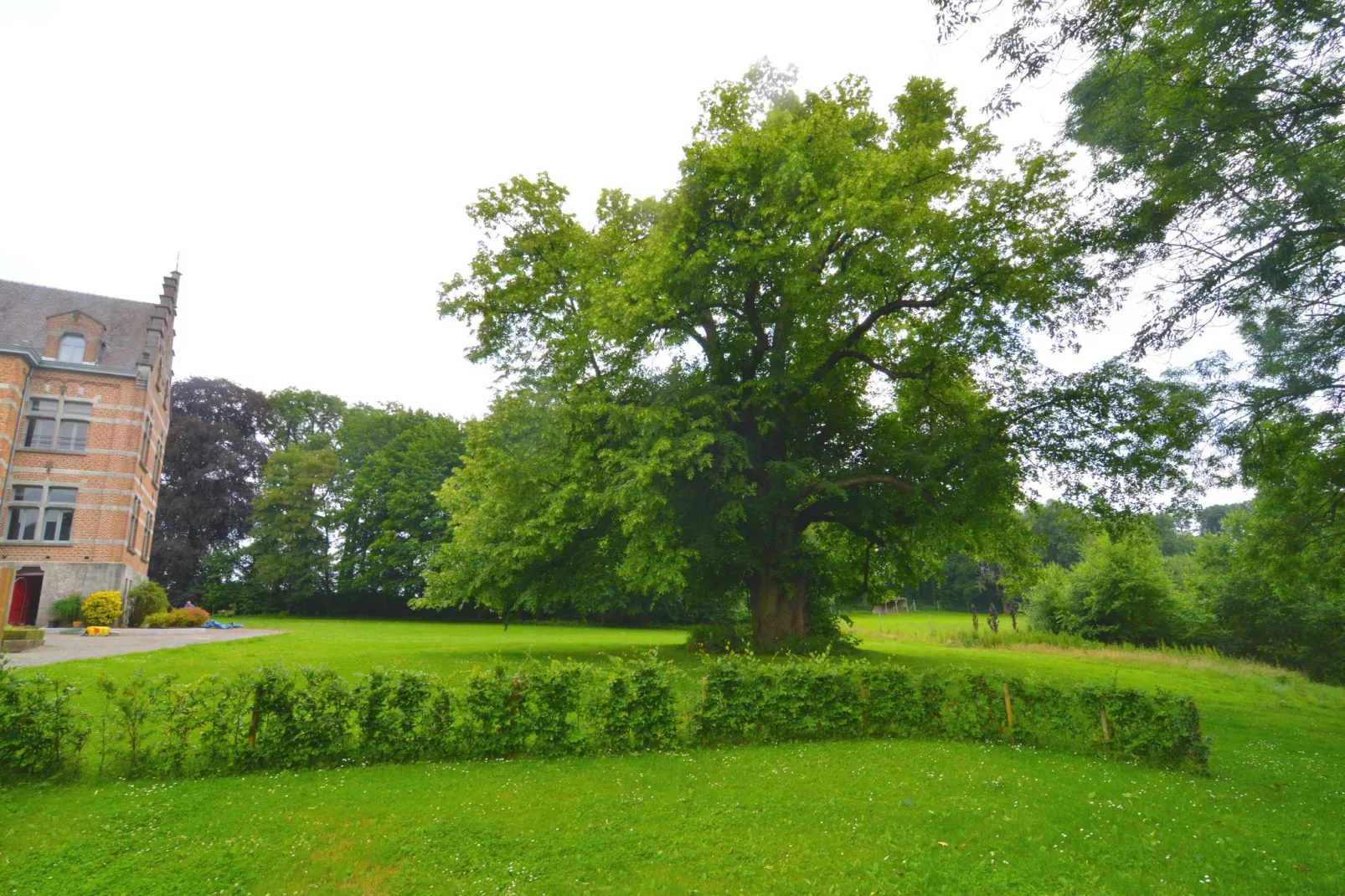 Le Vieux Tilleul du Château-Uitzicht zomer