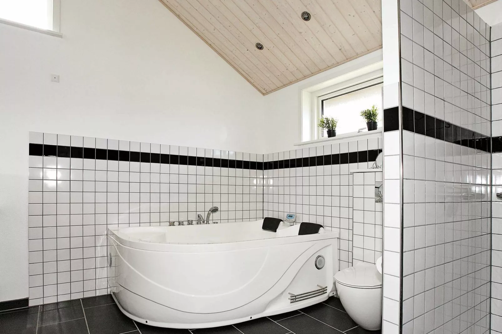 12 persoons vakantie huis in Hadsund-Spa