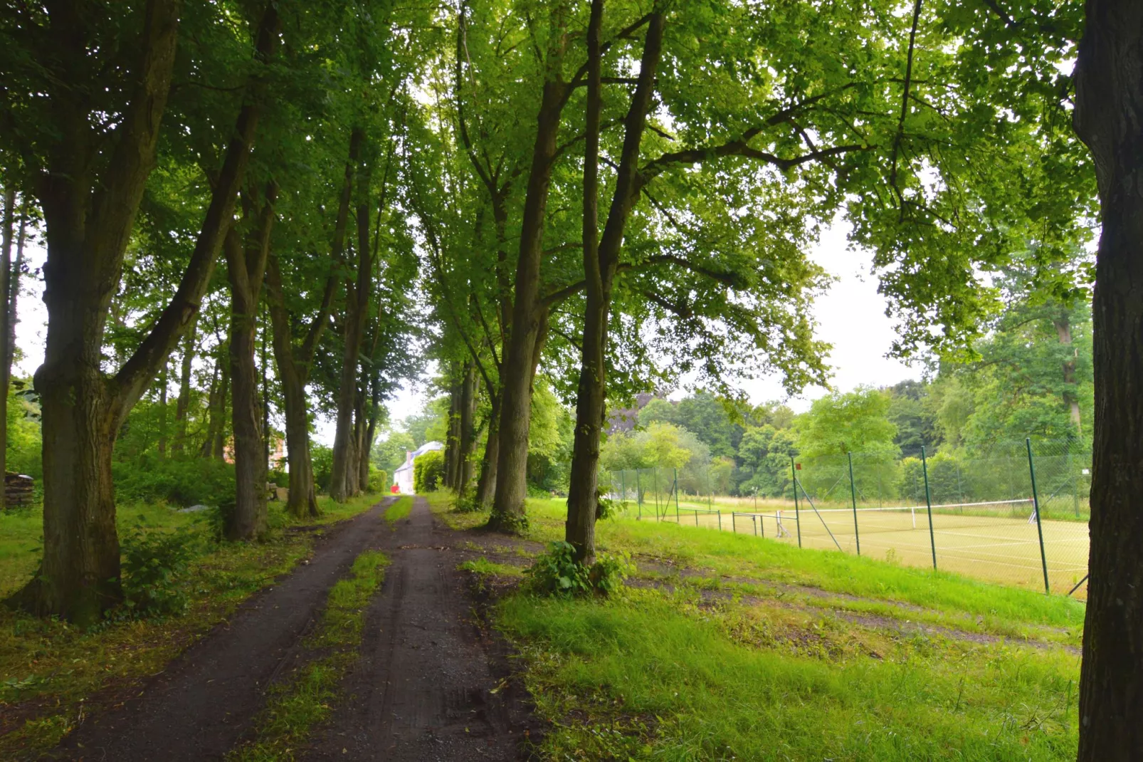 Le Vieux Tilleul du Château-Gebieden zomer 1km