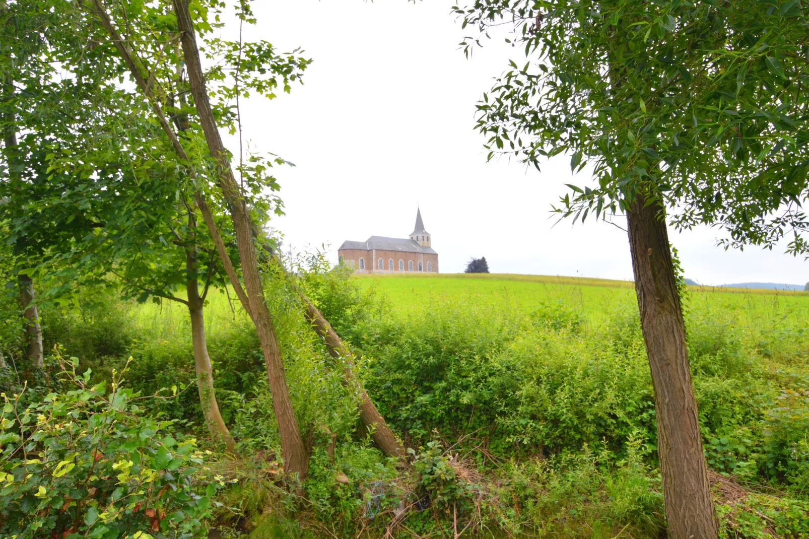 Le Vieux Tilleul du Château-Gebieden zomer 5km