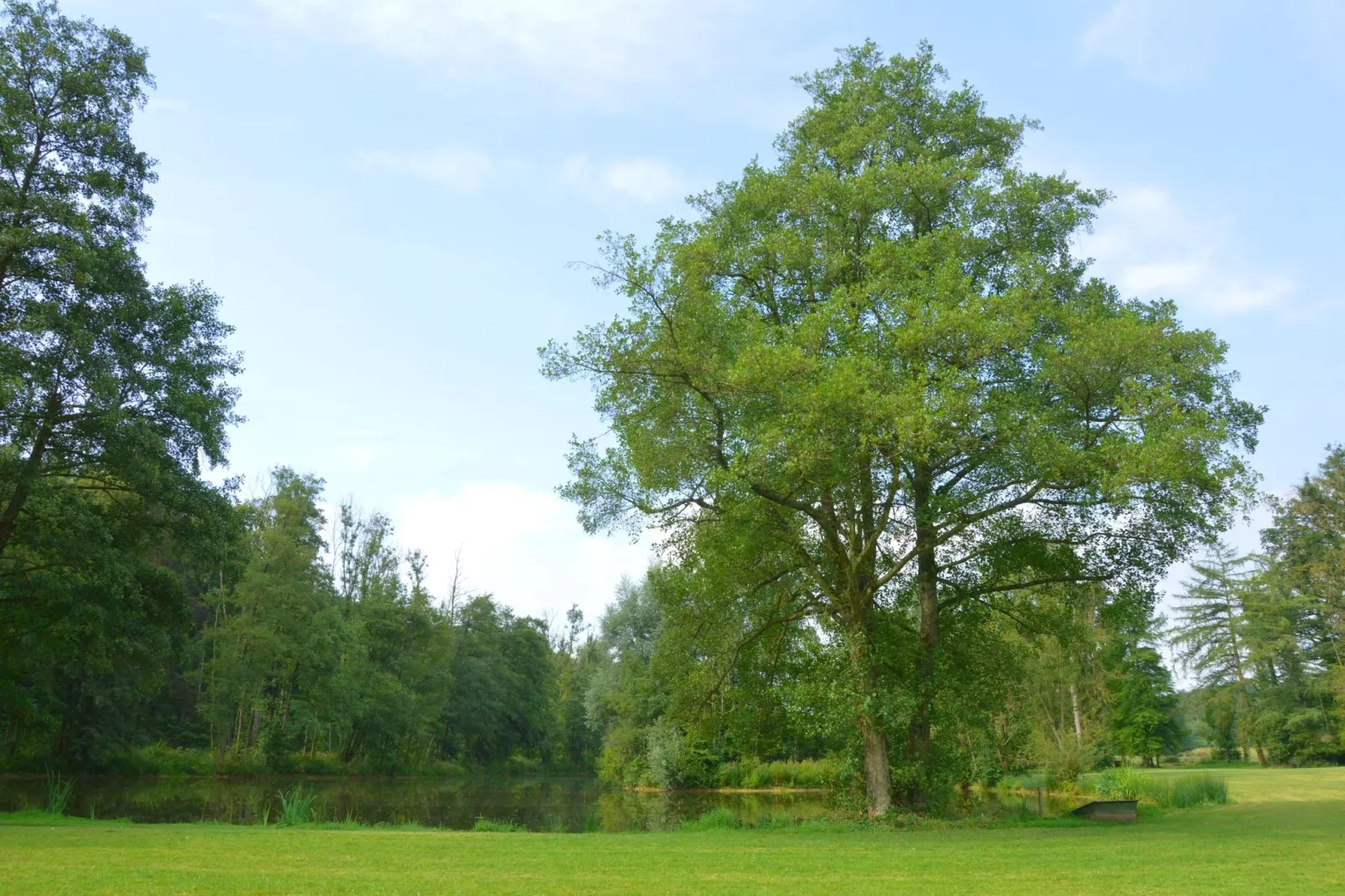 Chateau des Deux Etangs 36 pers-Tuinen zomer