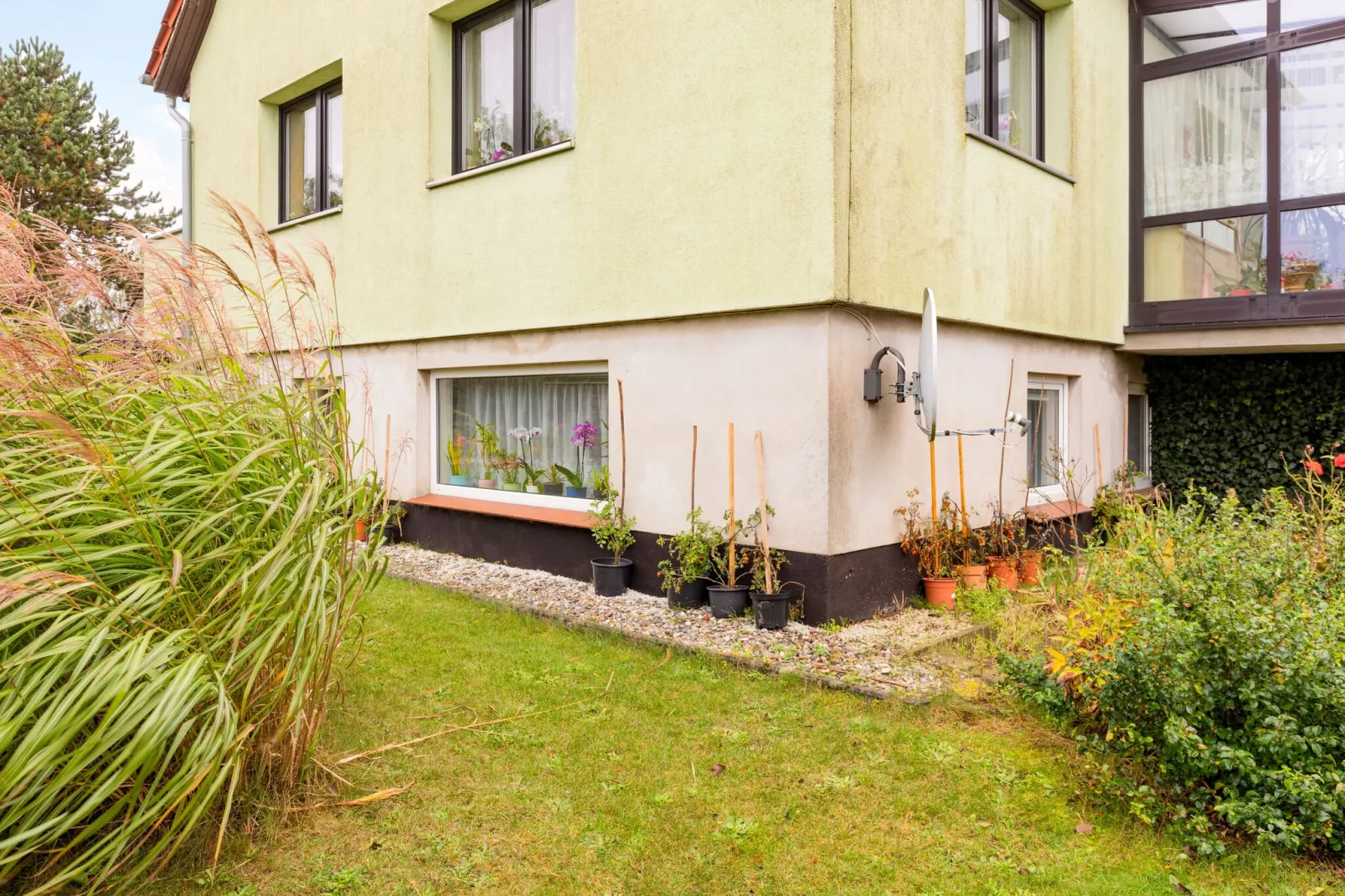 Ferienwohnung im Birkenweg-Tuinen zomer