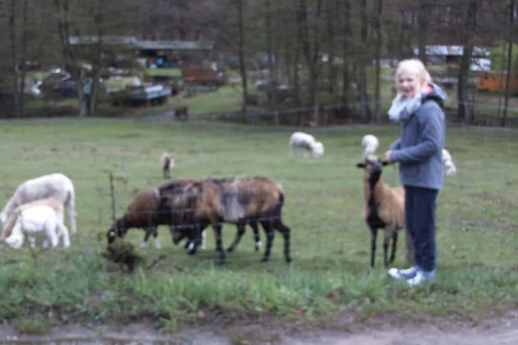 148375-Niet-getagd