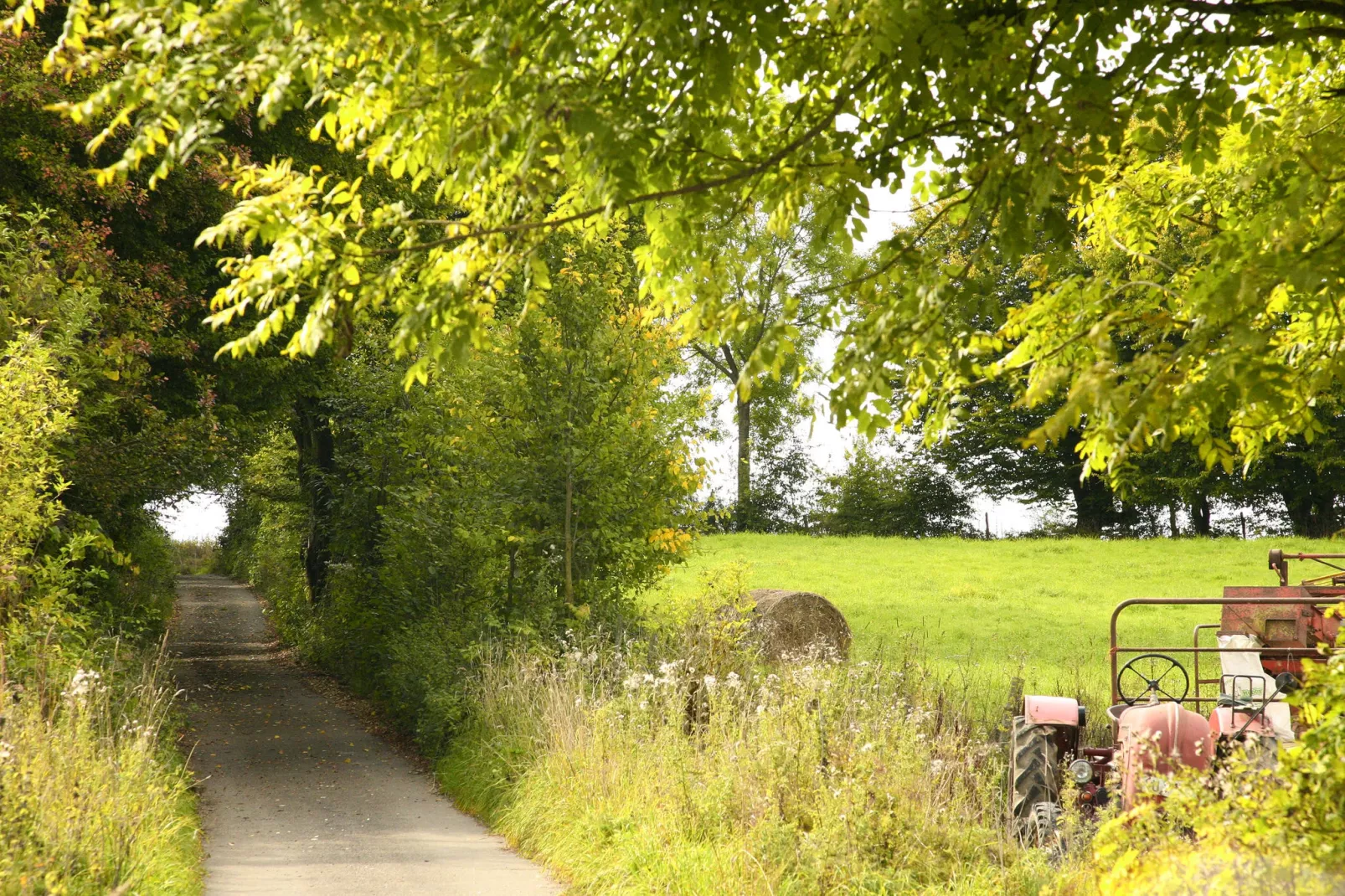 Wilogne-Gebieden zomer 5km