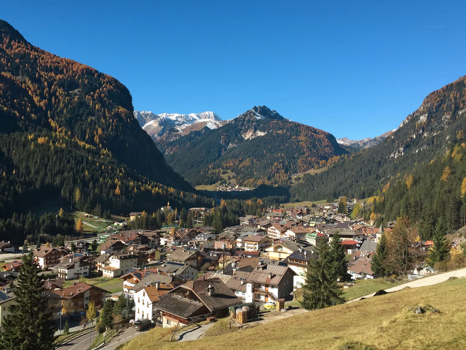 Condominio Parco degli abeti-Omgeving