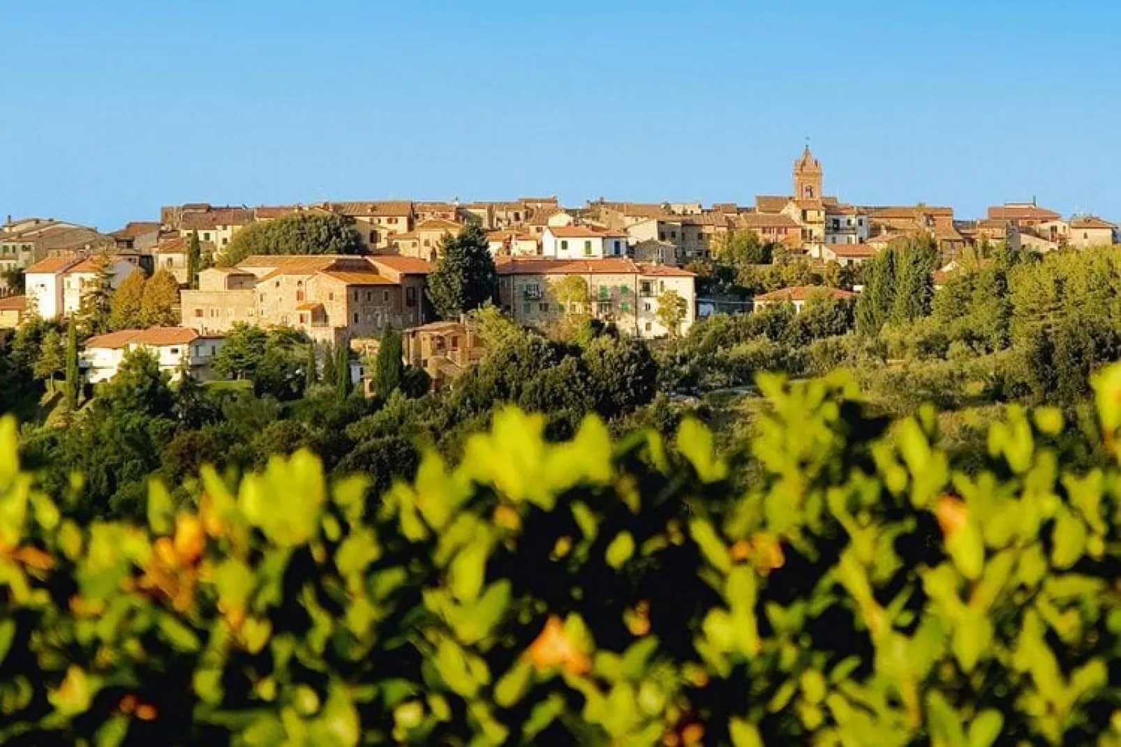 Agri-tourism La Scopa, Montaione-Rondine, Cardellino, Allodola-Buitenkant zomer