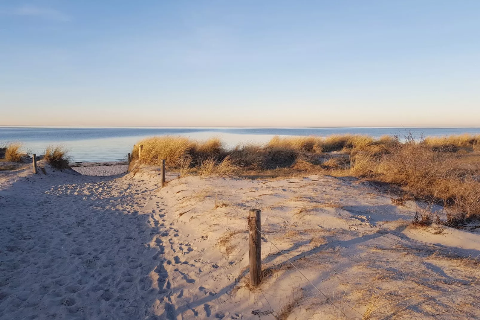 Ostseeblick-Gebieden zomer 1km