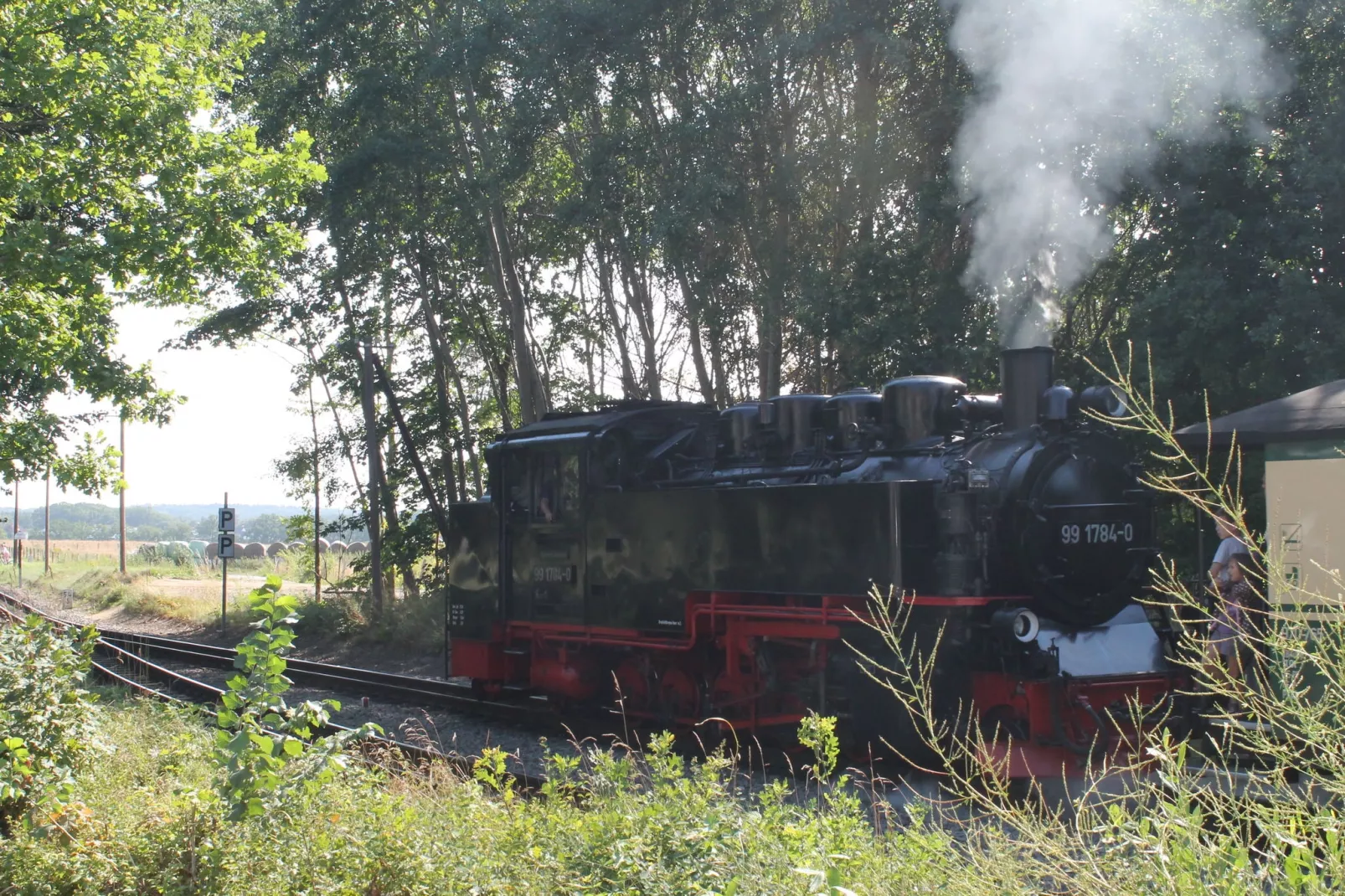 Ferienwohnung Sonnenschein nahe Stralsund-Gebieden zomer 20km