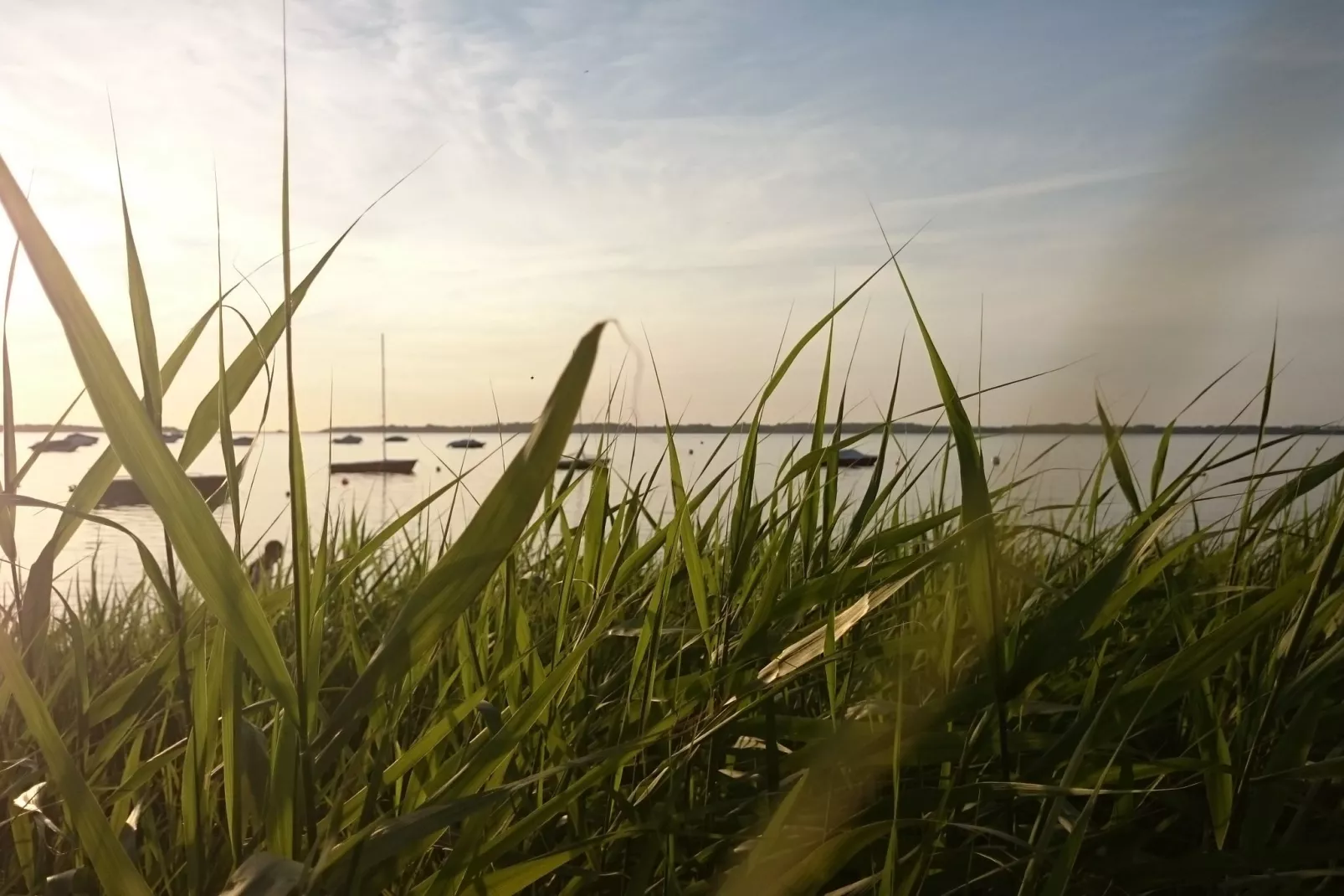 Strandnahes Ferienhaus Claudia in Rerik-Gebieden zomer 1km