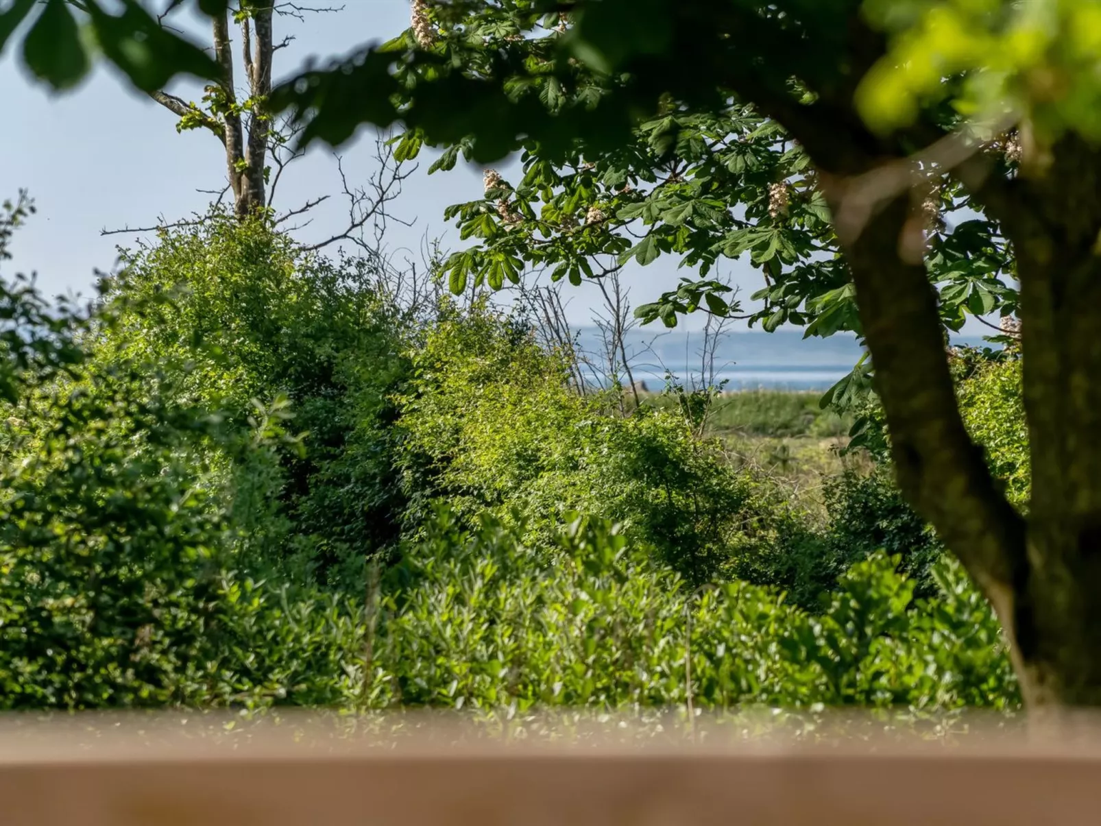 "Aike" - 100m to the inlet-Buiten
