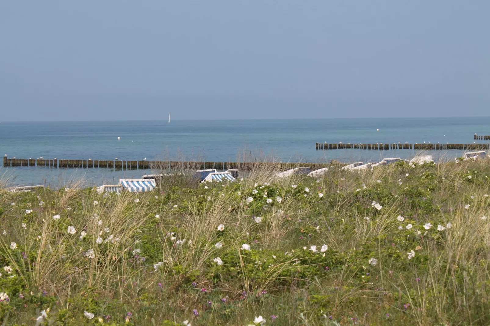 Strandnahes Ferienhaus Claudia in Rerik-Gebieden zomer 20km