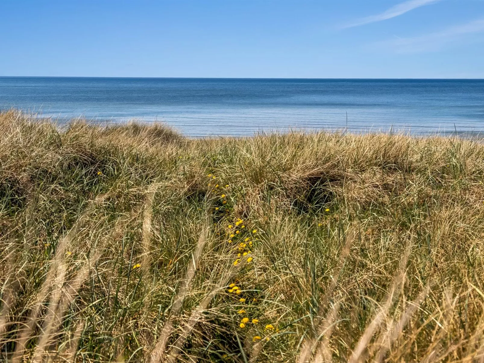 "Guthfrith" - 100m from the sea-Buiten