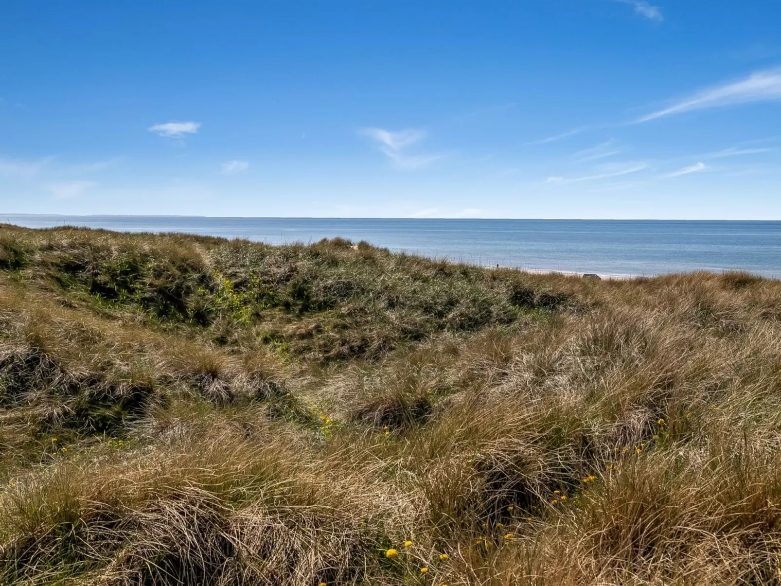 "Guthfrith" - 100m from the sea-Buiten