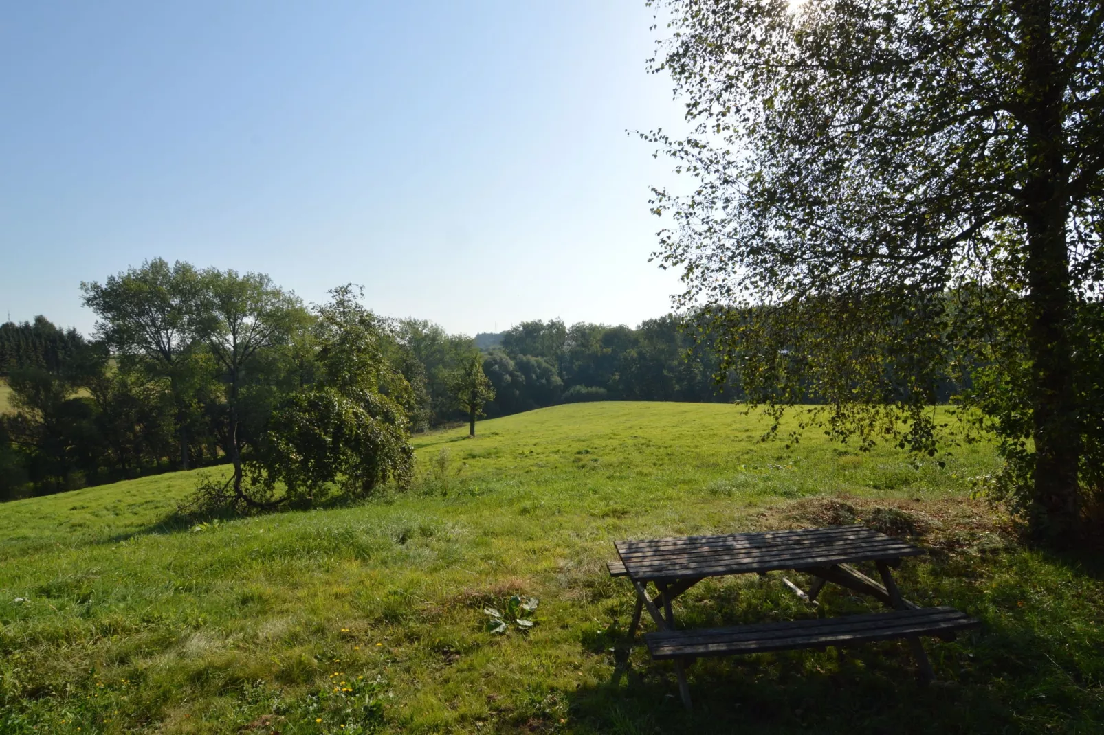 Lieu d'Être-Gebieden zomer 1km