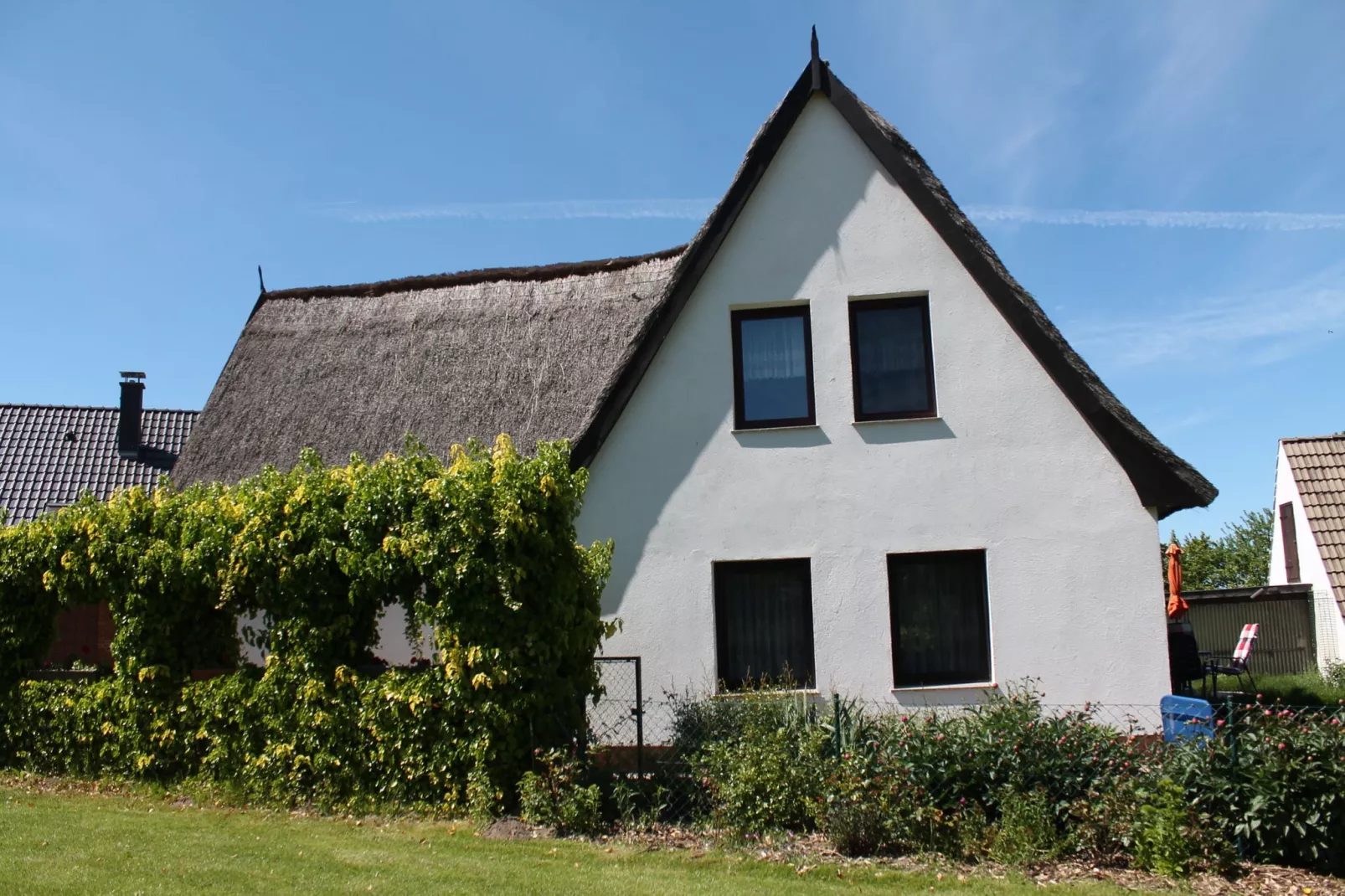 Schwalbenhof im Reetdachhaus-Buitenkant zomer