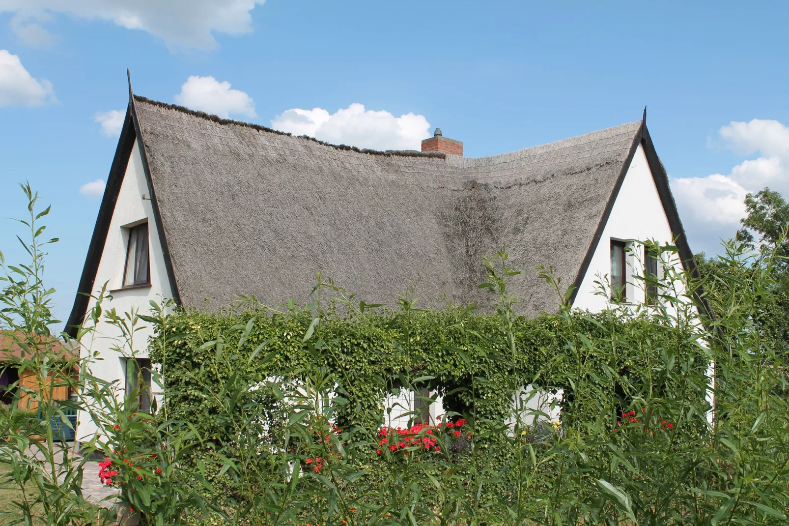 Schwalbenhof im Reetdachhaus-Buitenkant zomer