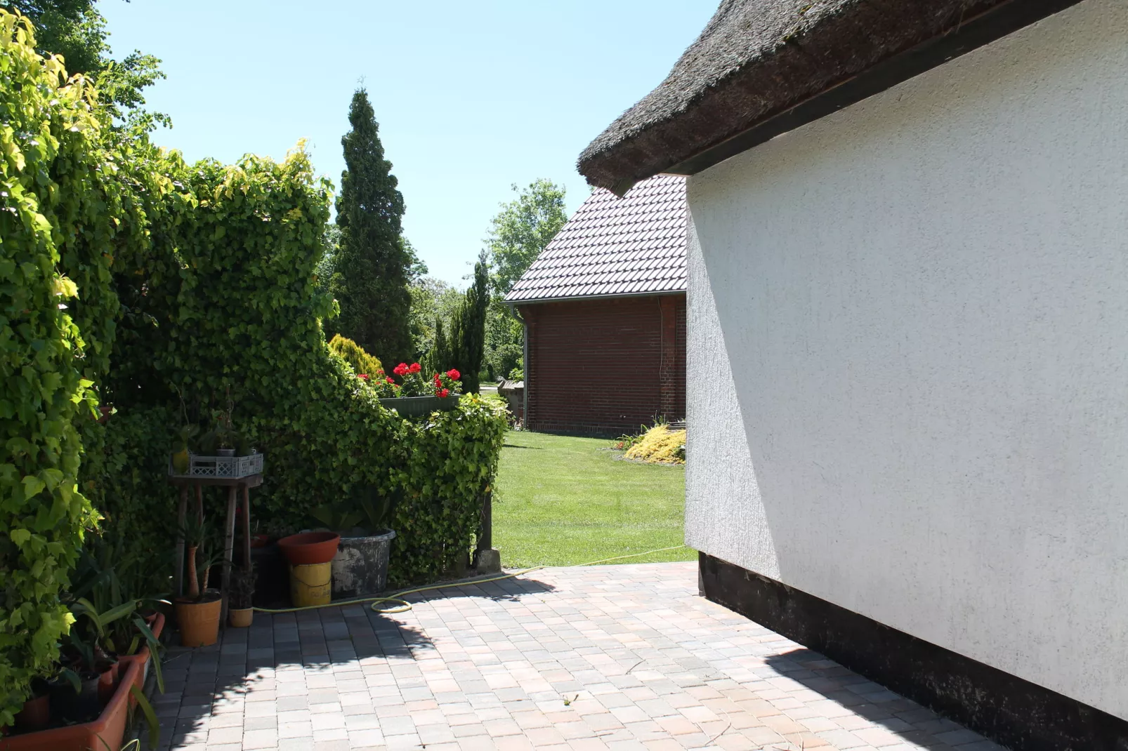 Schwalbenhof im Reetdachhaus-Tuinen zomer