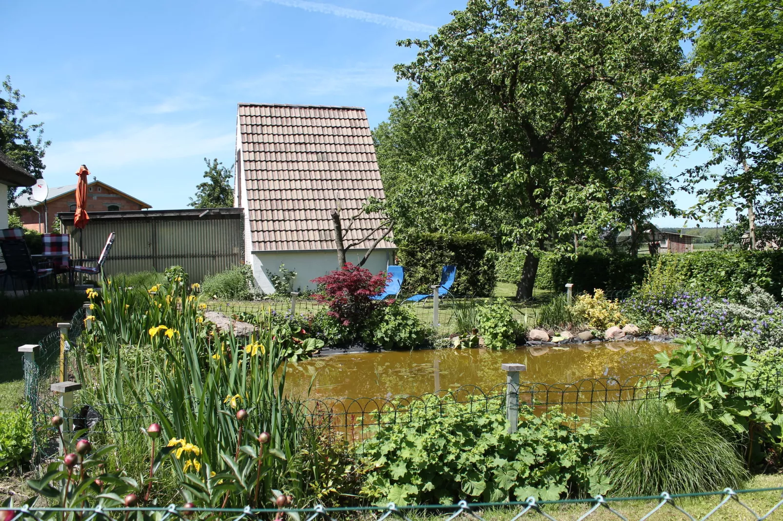 Schwalbenhof im Reetdachhaus-Tuinen zomer