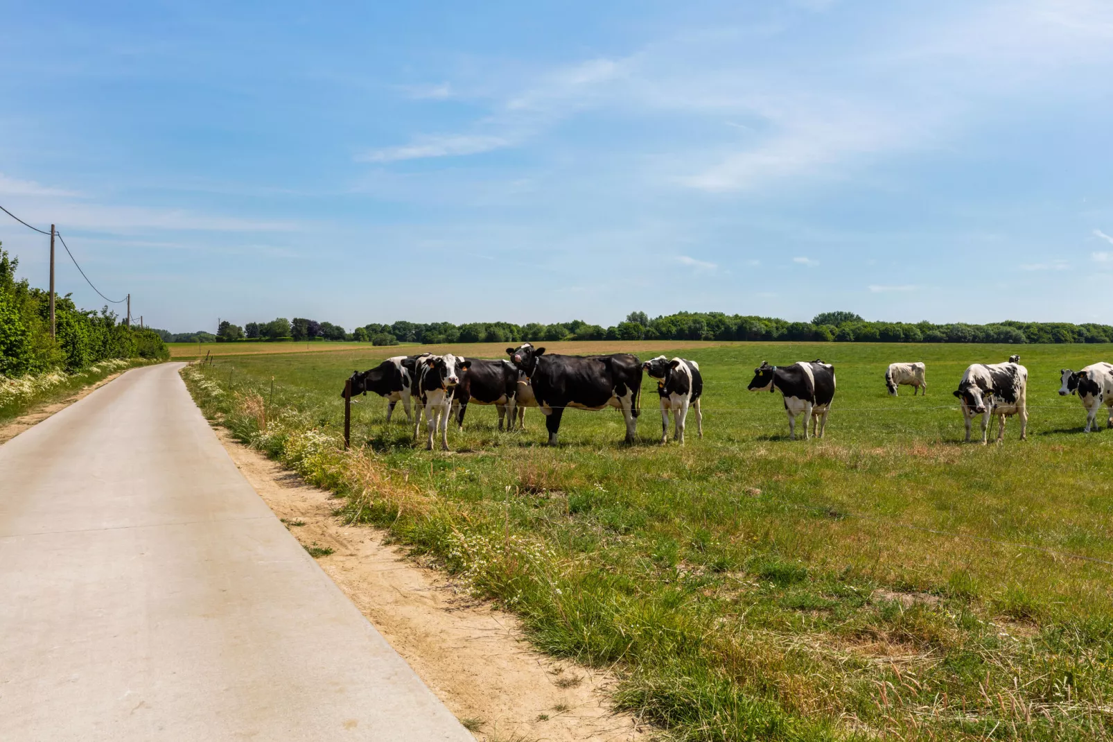 Asse-Gebieden zomer 5km