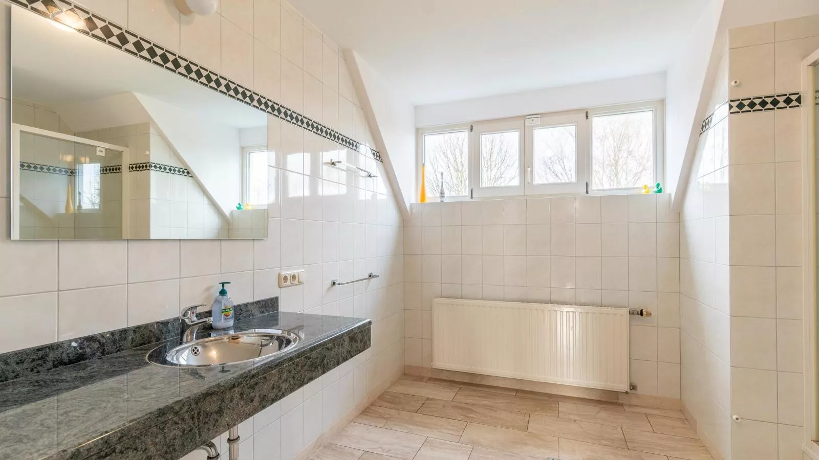Lionshuis-Badkamer