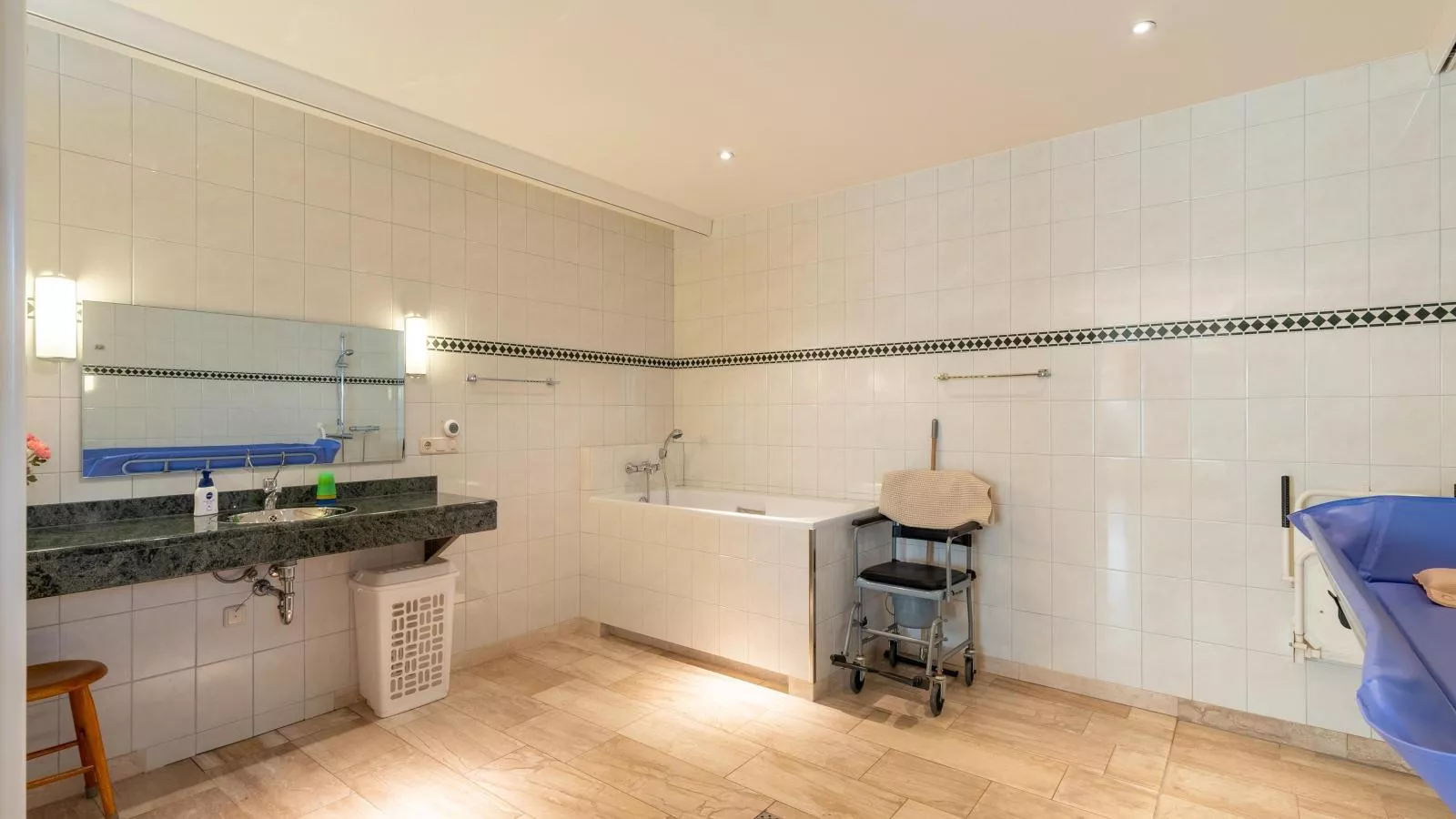 Lionshuis-Badkamer
